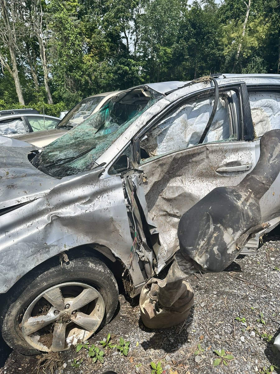 Rachel Wallen tweet media