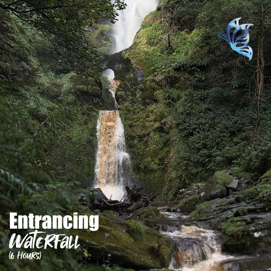 chilled_bf22's tweet image. Check out our longer version of entrancing waterfall on youtube tonight at 7pm 
#waterfall #entrancing #brown #hight #green #water #hills #blue #secret #rocks #chilledbutterfly