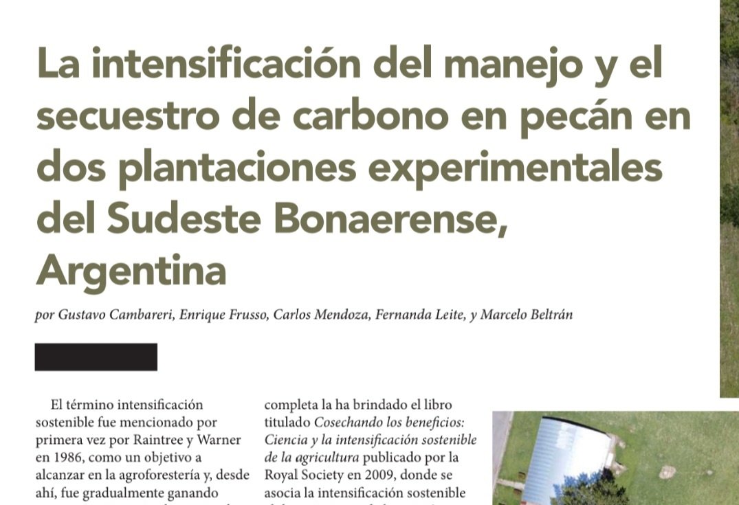 gsebasguelph's tweet photo. Contribución sobre secuestro de #carbono en #pecan que realizamos para @NuezSurena . Información generada luego  de 2 años de arduo trabajo, que ademas fue realizada con el apoyo de @sense_eranet y varios proyectos de #inta. Para la lectura completa, el link de más abajo 👇👇👇 https://t.co/EYRLQSxuon
