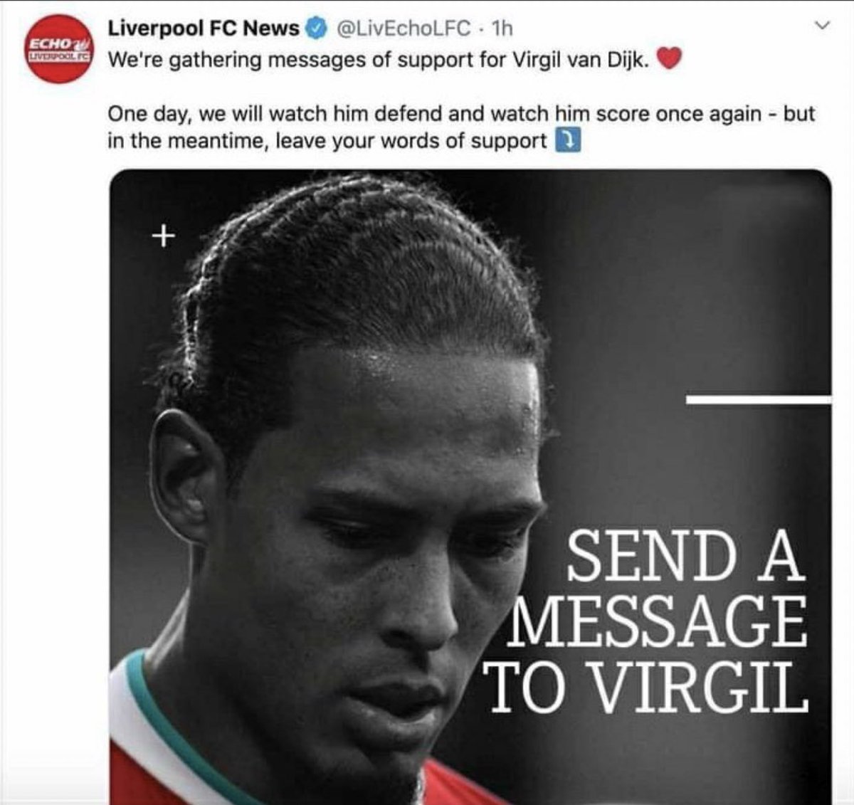 Terry ▶️ tweet media