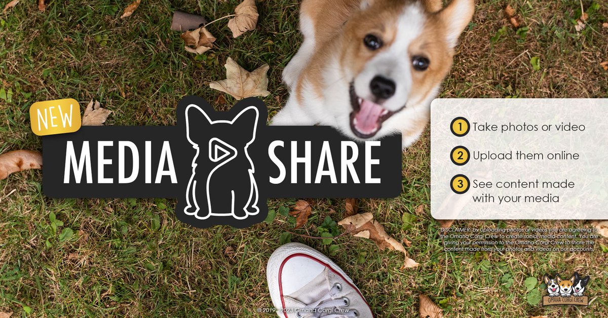OmahaCorgis's tweet photo. Do you take photos or videos when you attend our events? 📸 Want to see them curated into content that helps us tell the world how we help local rescues? 💖 Then look no further than our NEW Media Share! ▶️ Scroll to the bottom of https://t.co/9ixEEiW8OS to find all the info. https://t.co/TFpC9GKj9q