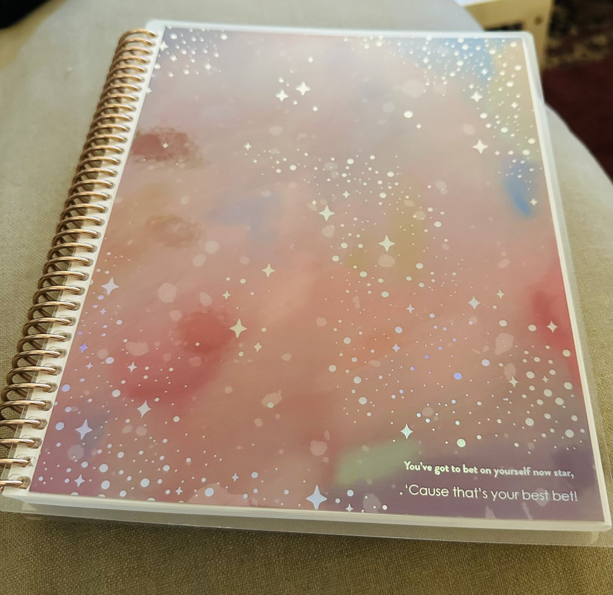 CoastRebDMR's tweet image. Part 2 of customizing things with @311 lyrics 😍 #AllMixedUp #ExcitableOnes @ErinCondren