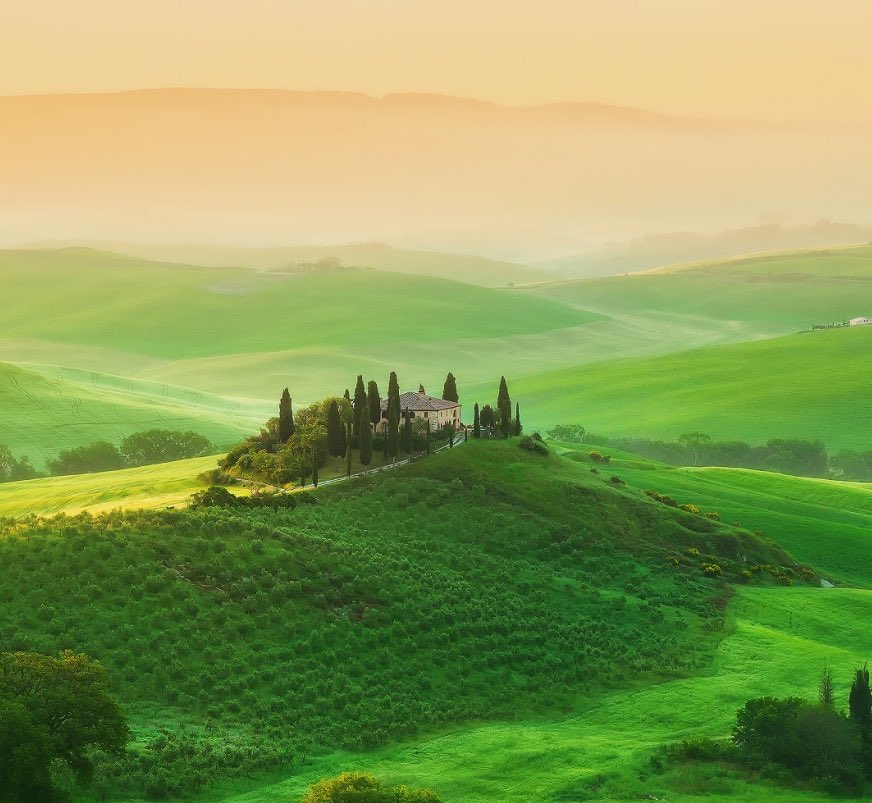 Laura Morelli tweet media