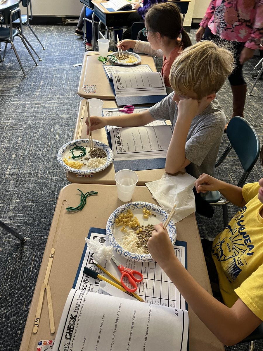 Erica Hasselstrom tweet media