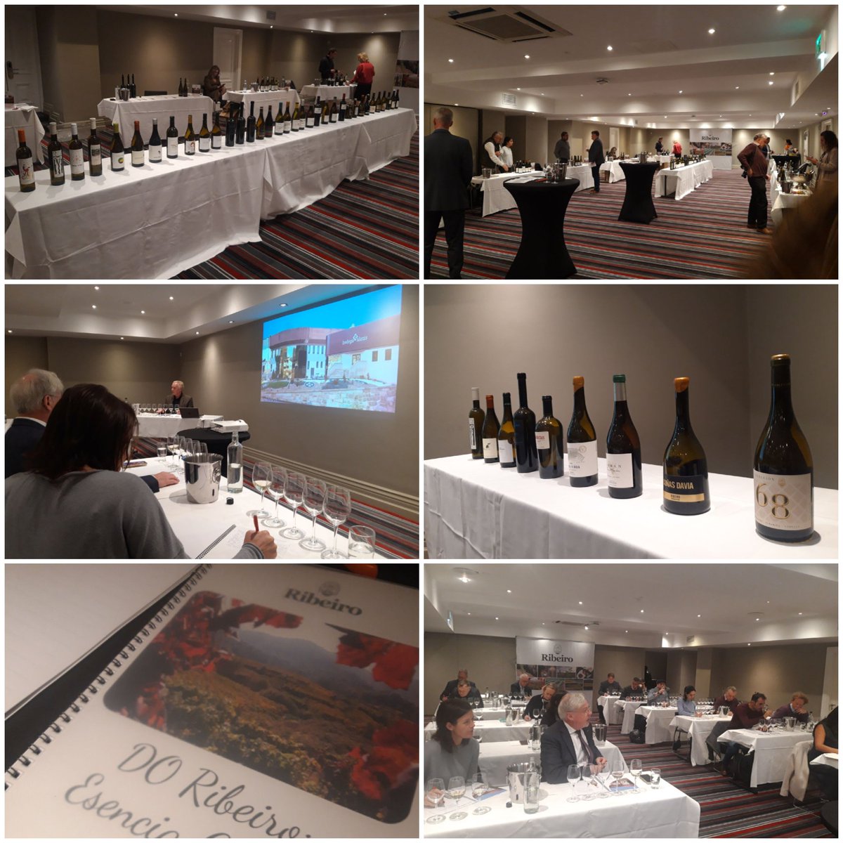 Fantastic day in #Dublin showing the singularity and diversity of <a href="/CRDO_Ribeiro/">D.O. Ribeiro</a> and its wines. Thanks <a href="/smullenj/">Jean Smullen</a> for your work bringing us a specialized attendance 🥂🥂
