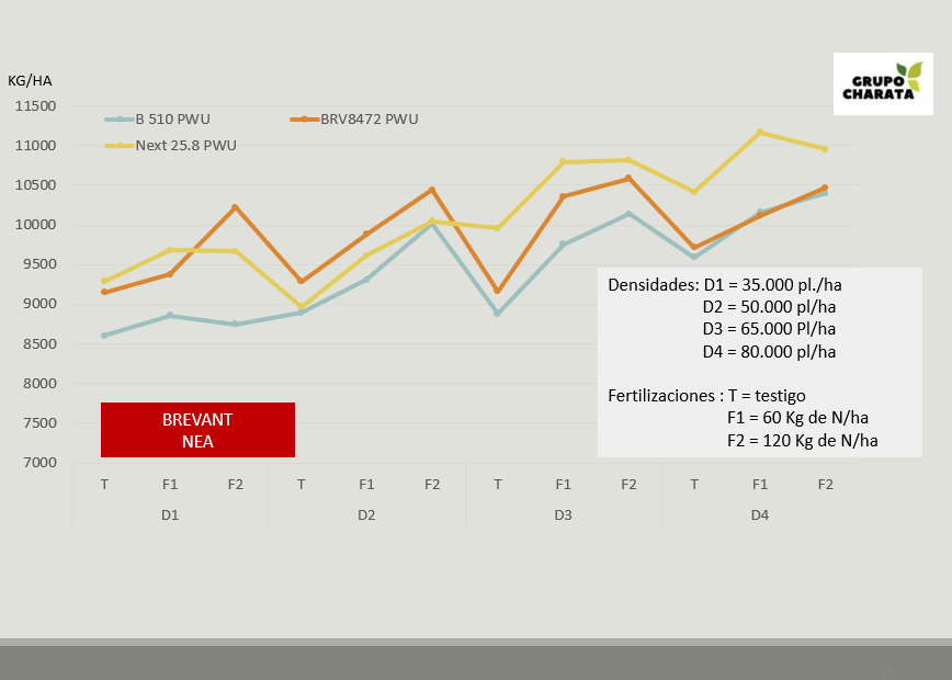 Parámetros para prescribir densidad y fertilizacion nitrogenada por ambiente segun los semilleros para cada híbrido en la zona Chaco Santiagueña. Hay mucho por trabajar.