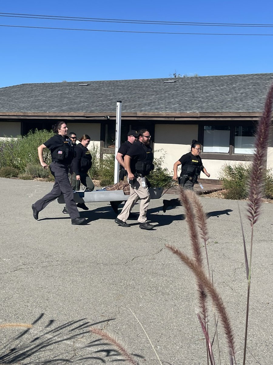 CPOEhmenKrause's tweet image. Second annual Contra Costa Probation Dept. team-building competition was a success!! #leadthechange #staffdevelopment #probation