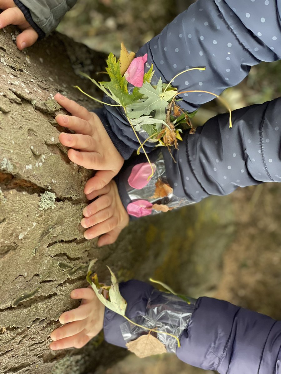 LVive1's tweet photo. Vivre la nature , éveil des sens ! Ce matin avec ma classe de Ps nous avons créé de jolis bracelets naturels et éphémères en fixant du scotch sur le poignet et en y collant fleurs et feuilles !
Écouter , caresser , sentir , regarder un arbre !
#école #maternelle #nature. https://t.co/cM3g0KFb56