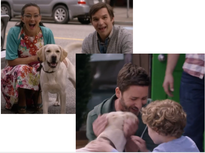 #POstaWordsPics Since the word today is FRIENDS, the first thing I thought of is man's best friend.  This is Sandy in Lost Without You.  I guess the only quote can be 'Woof!'  I love the expression on Rita's face in this scene! #POstables