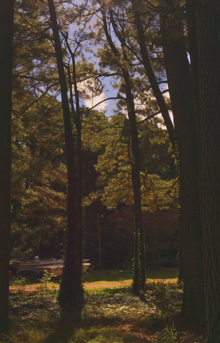 herb 🌱 tweet media