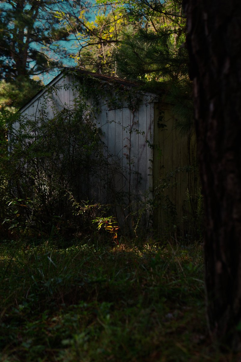 herb 🌱 tweet media