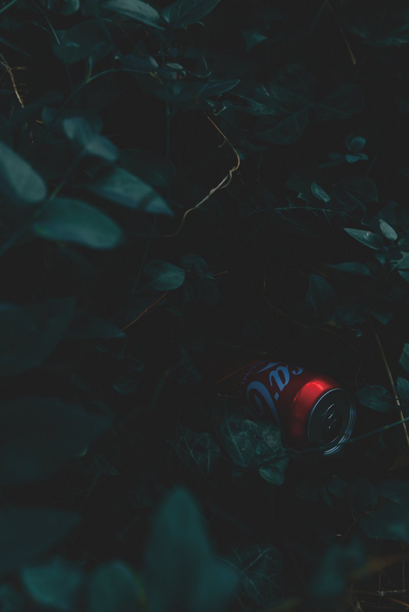 herb 🌱 tweet media