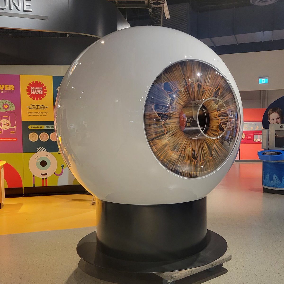 3DServicesInc's tweet photo. There's a 7-foot-tall, walk-in eyeball waiting for you @scienceworldca this month!

This #detailed and #interactive eyeball is part of the Superpower of Sight exhibit, built by our talented 3DS team.

#childrensvisionmonth #scienceexhibit #exhibit #exhibitbuilders #custombuilders https://t.co/croEXY0YrL