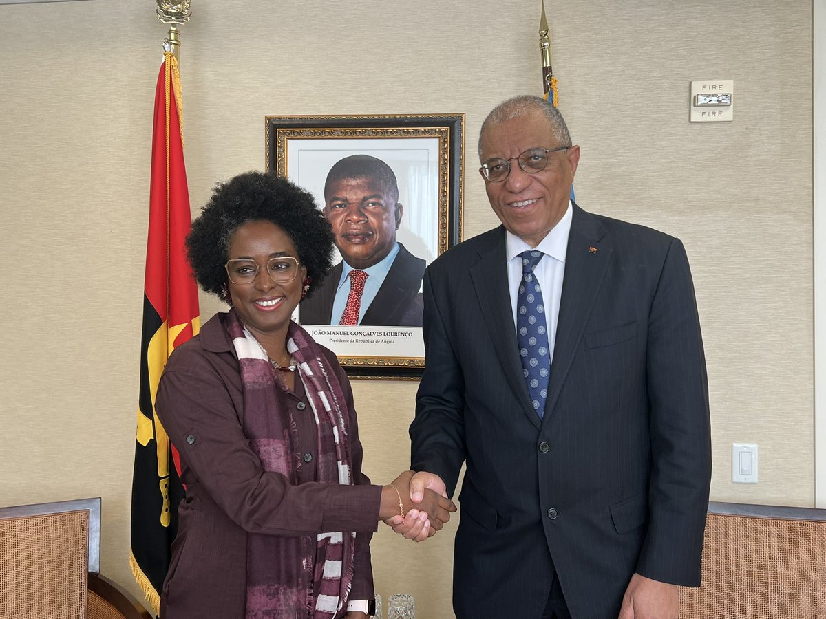 H.E. Ambassador Francisco José da Cruz, met this morning with the Ms. Aua Baldé, Chair - Rapporteur of the working Group on Enforced or Involuntary Disappearances . They discussed the preparations of Ms. Baldé’s visit to Angola, during the 1st semester of 2024.