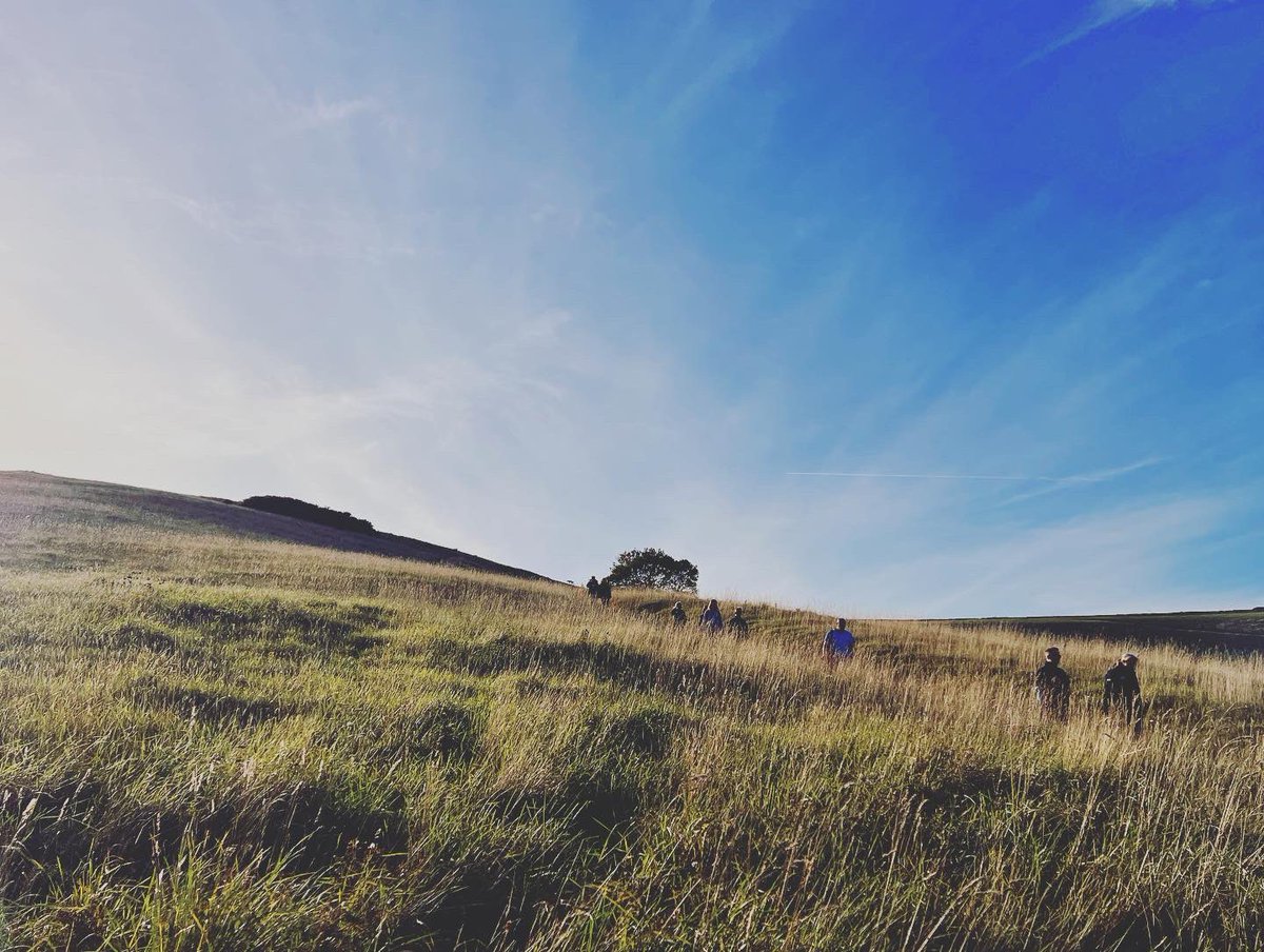 WealdtoWaves's tweet photo. Wonderful to host the leads from our @nationalparksuk today. Morning at @kneppwilding &amp; afternoon at the @iford_estate  exploring their journey from a traditional dairy and arable farm to a more diverse estate with biodiversity at the heart of their land planning &amp; business model https://t.co/baFxXBcoMc