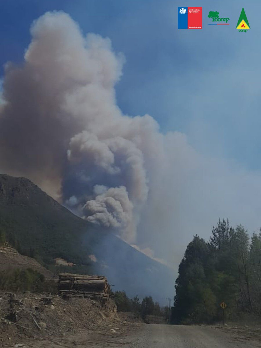 Rne1351Reinaldo's tweet photo. 🔴AHORA | Region Bio Bio
En estos momentos brigadas de @conaf_minagri y de Forestal #Arauco y #Comaco trabajan en el combate de #IncendioForestal en #SantaBarbara en región del Bio Bio, afectando a 25 hectáreas.
EN DESARROLLO
#TodosSomosRNE https://t.co/mvr0vzSi1q