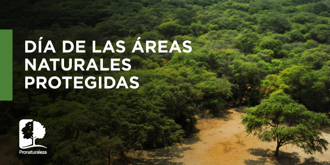 Pronaturaleza's tweet photo. Las Áreas Naturales Protegidas son  espacios terrestres o marinos reconocidos, establecidos y protegidos legalmente por el Estado Peruano por su importancia para la conservación de nuestra variada flora y fauna que hacen de nuestro país uno de los más megadiversos del mundo.🐒🌿 https://t.co/jLKFq3KqUU