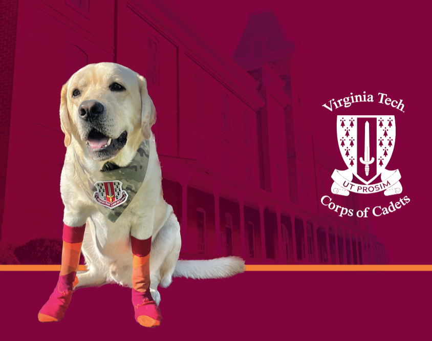 VTCorpsofCadets's tweet photo. Growley III here. Like my Hokie socks? Visit https://t.co/fe3QXFqEjh to give a $10 gift to the Corps and get a pair of your own. Now through Nov. 17.

@StudentsAtVT @virginia_tech @vtccalumni @vpibattalion @HightyTighties https://t.co/KCllVkPLFc