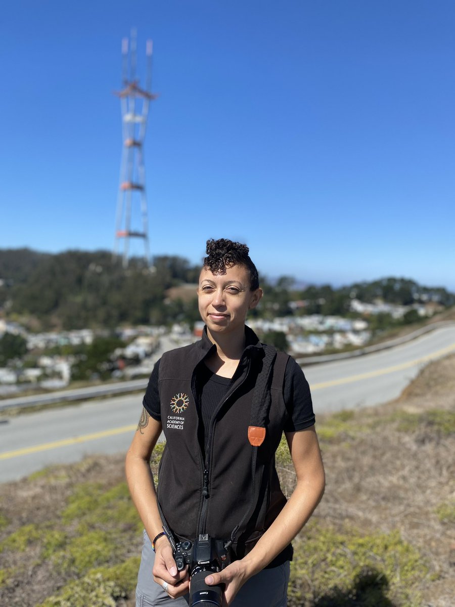 Ooo missed this #BlackInNHMs #RollCall ! i’m a research associate at the <a href="/calacademy/">California Academy of Sciences</a> working on human-wildlife interactions🐾👣. i work with <a href="/moeflannery/">Moe Flannery</a> <a href="/RebaFay/">Dr. Rebecca F. Johnson</a> <a href="/CASBirdman/">Jack Dumbacher</a> 🤗. back in the day i worked here as an educator &amp; also volunteered w/animal husbandry! 

📸:<a href="/EstienCesar/">Cesár Estien, PhD 🇵🇸</a>