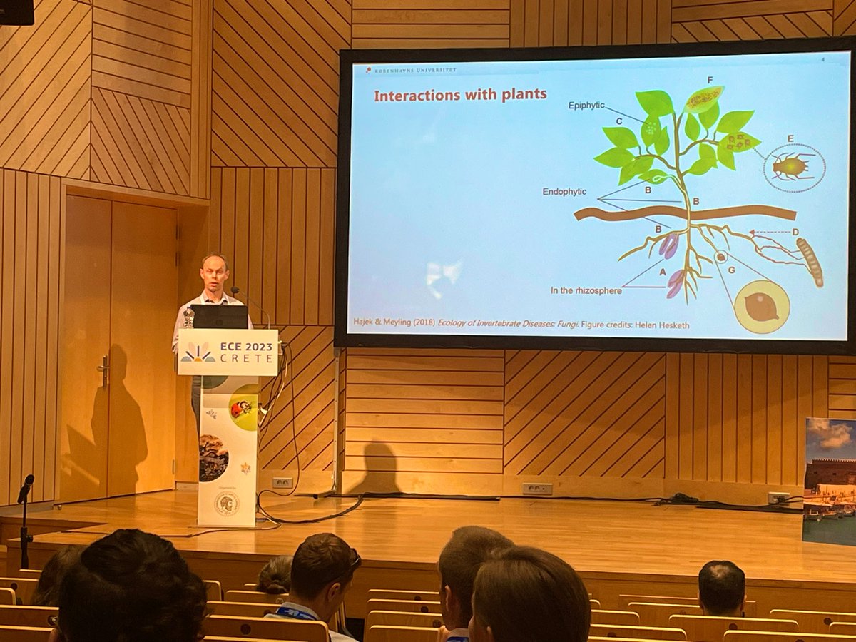 Xie Zhongqiu(谢仲秋) tweet media