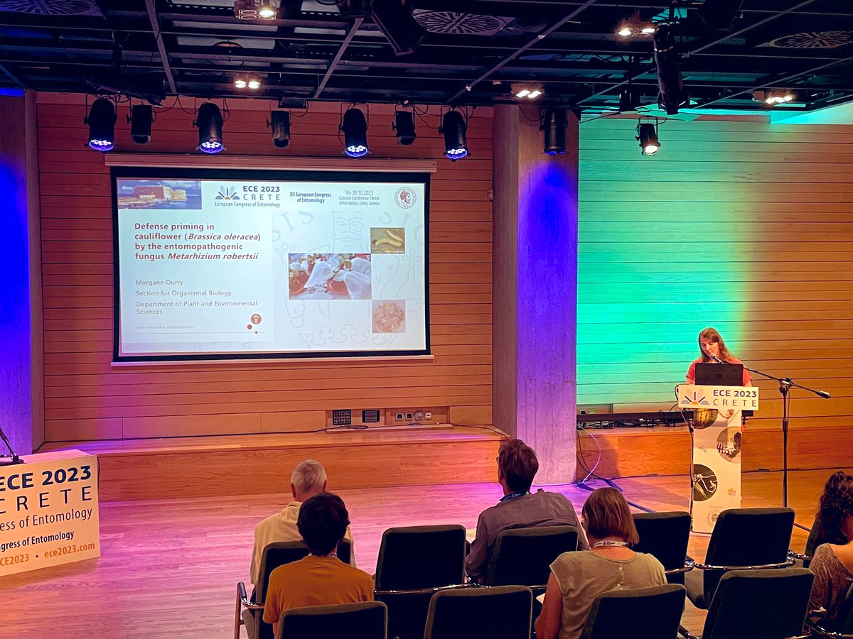 Xie Zhongqiu(谢仲秋) tweet media