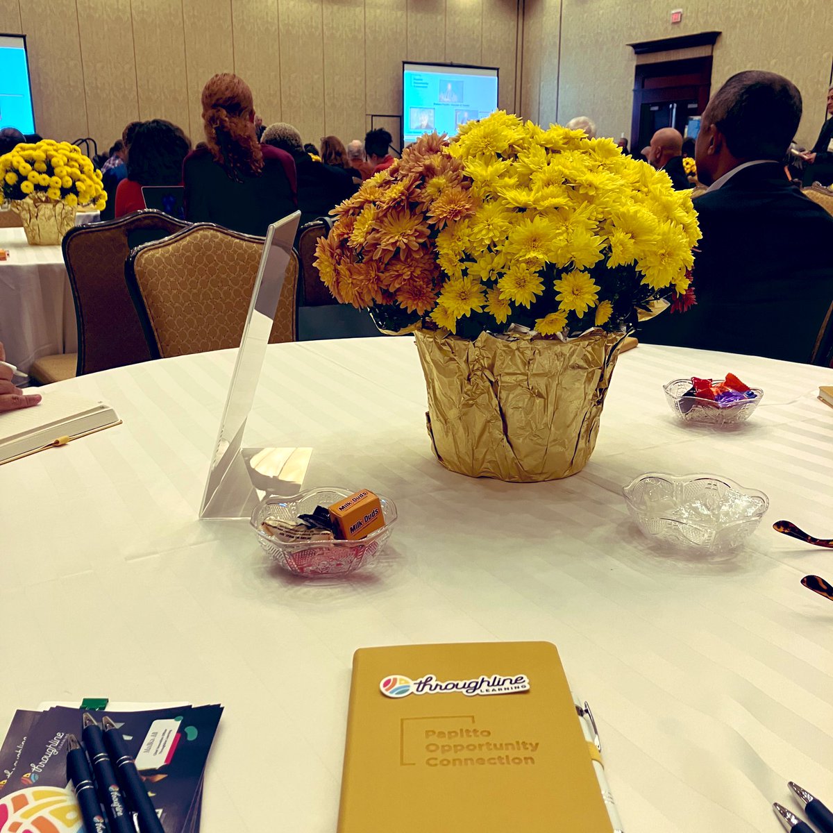 Excited to represent @ThroughlineLrng today at the @POCFoundationRI Connector Conference alongside @csanford42! Thank you for having us #edchatri
