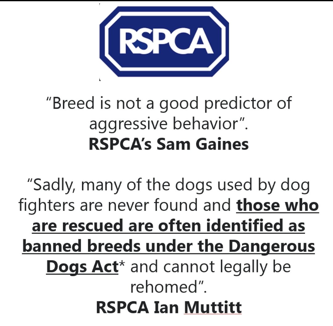 TeddyMessy tweet media