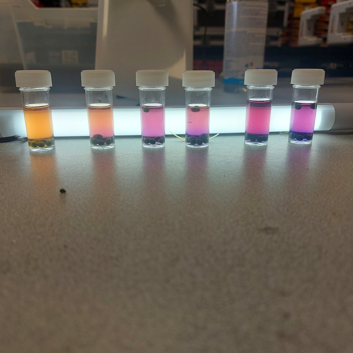 Castleford Academy Science tweet media