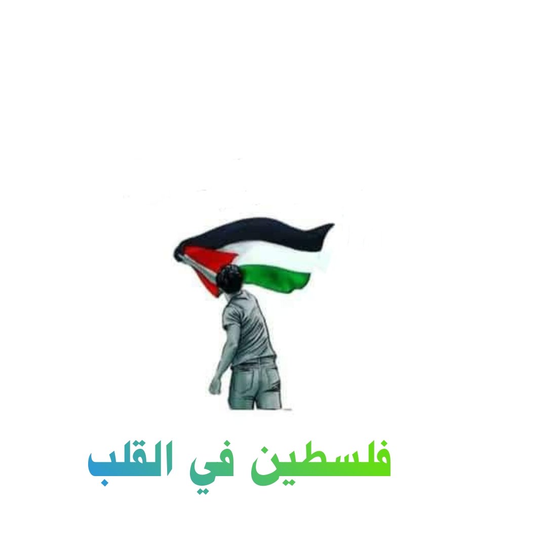 EngMostafahosny's tweet photo. حسبنا الله ونعم الوكيل
تضامناً مع شعبنا الحبيب فلسطين 🇵🇸❤️ https://t.co/afbUdFsPLN