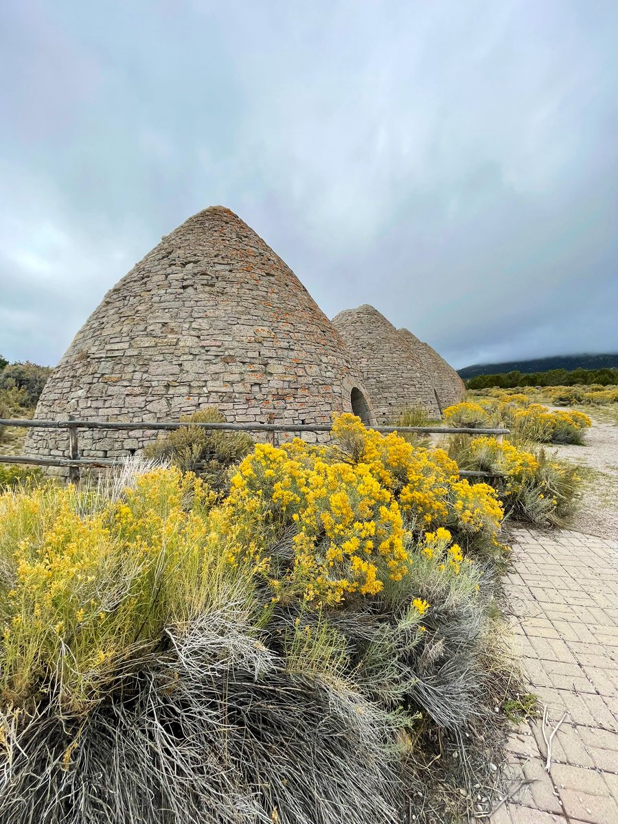 AE6Z // C.W. tweet media