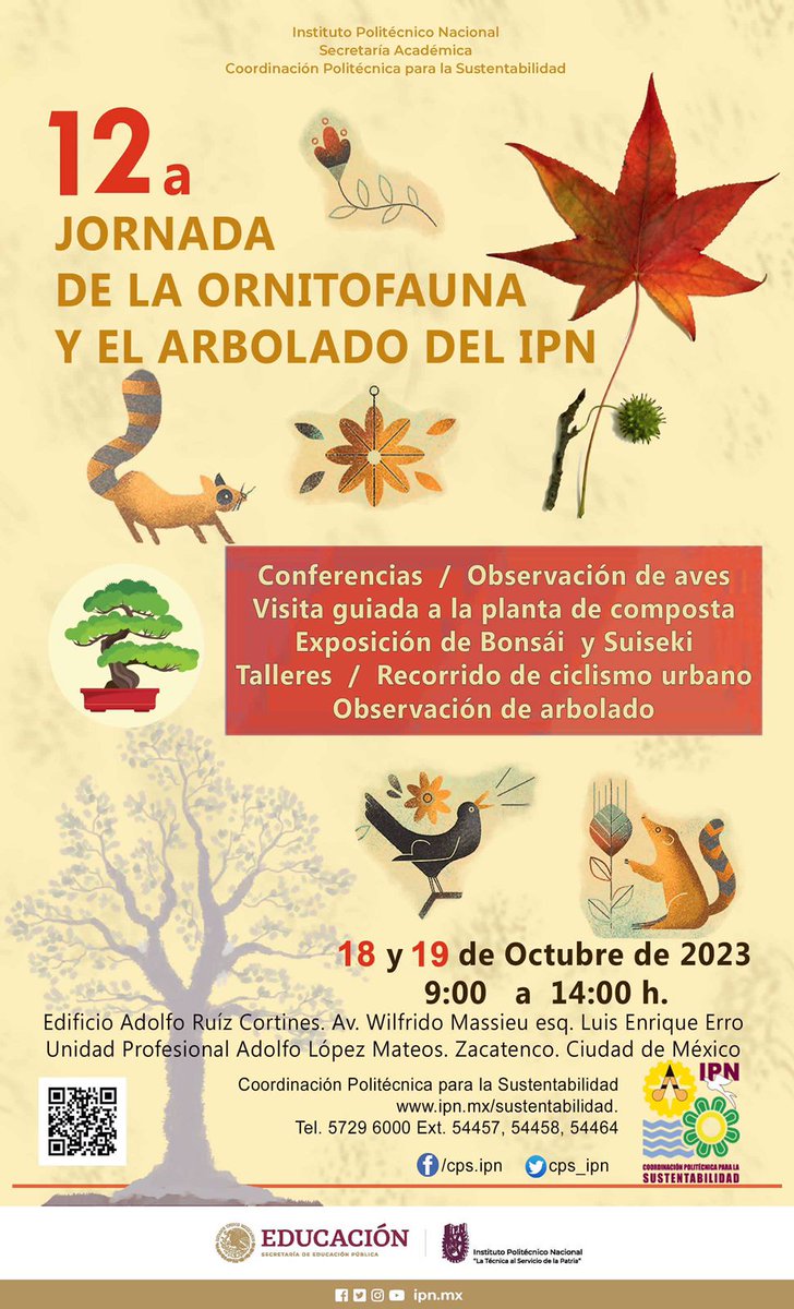 IPN_MX's tweet photo. ¿Estás listo para observar las distintas especies de aves 🐦🦜🦅 que habitan en las áreas verdes de Zacatenco🌳? Te esperamos el 18 y 19 de octubre en la 12a Jornada de la Ornitofauna y el Arbolado del IPN, donde también podrás visitar la Exposición Colectiva de Bonsái.
@cps_ipn https://t.co/dxCEr2vLUP