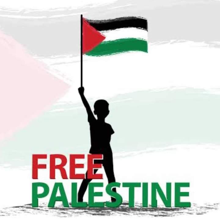 Mohamed Abdelsalam (@mohamed98528588) on Twitter photo 