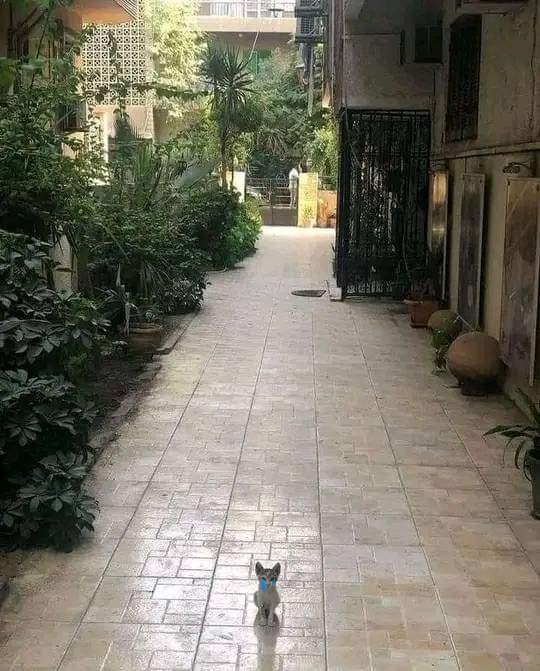 johansballoon's tweet photo. jongwoo at his mum's door in busan after massacring everyone at the gosiwon https://t.co/Kxf5fHZ7ft