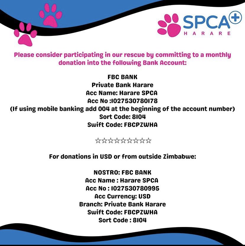 Hi guys!!! Please help in any way you can or retweet! Let’s save some animals 🤍