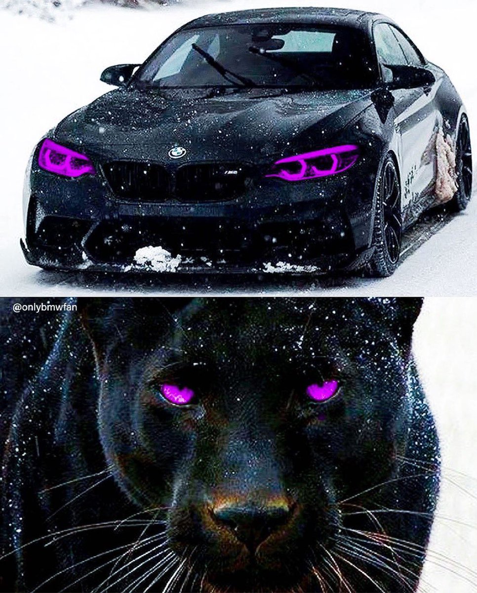 motorforms's tweet photo. BMW M4 💜 https://t.co/6gprpXgCT3