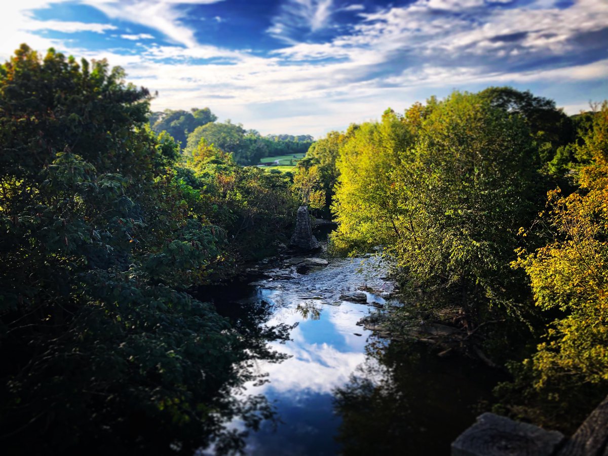 Felipe Barral tweet media