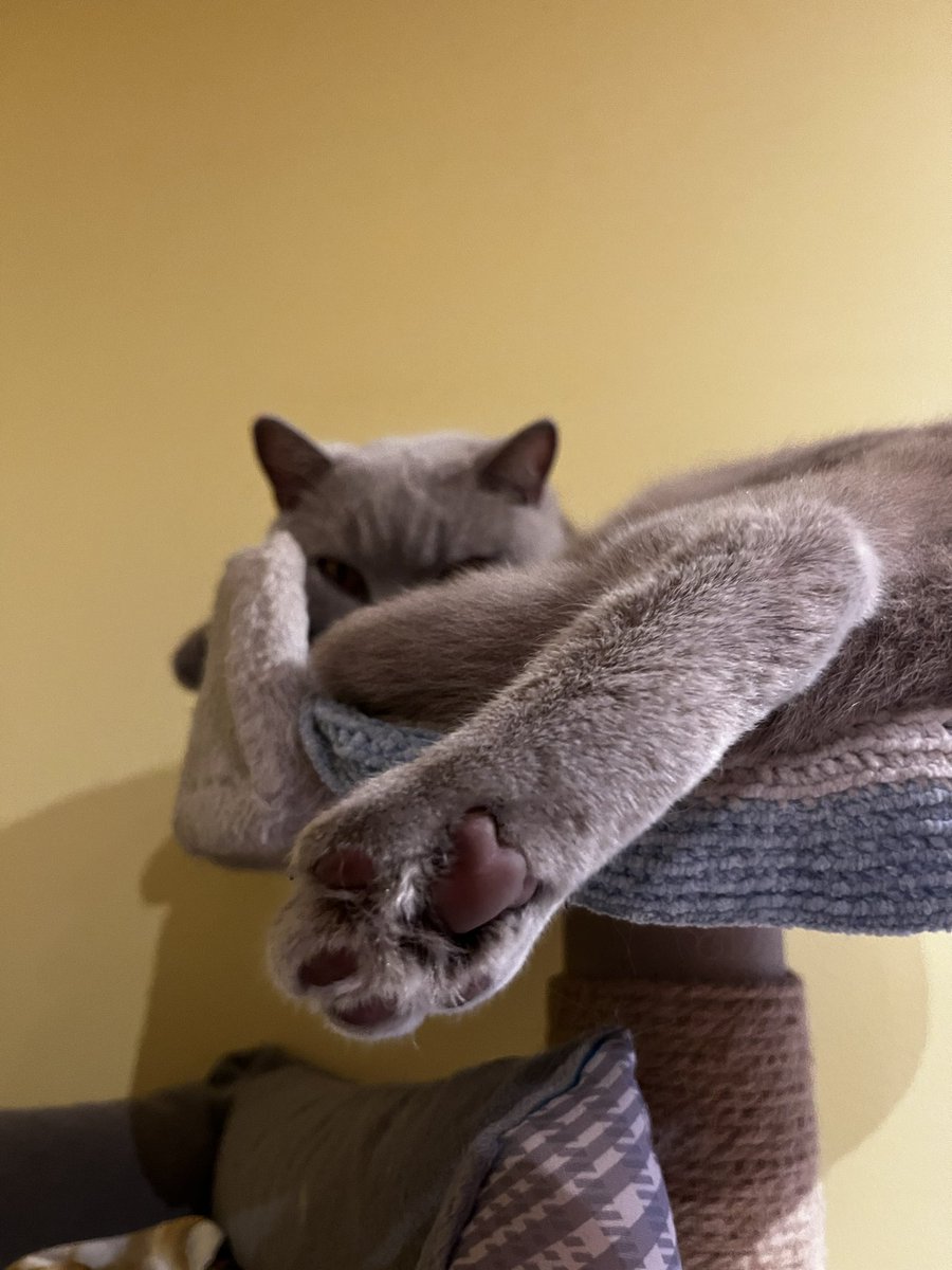 Kassipilt. Paremaks õhtuks.