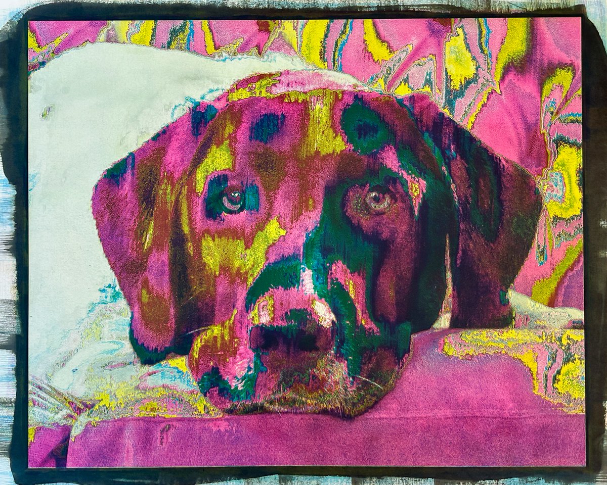 Opening on Thursday!

CMYK9 at Janaki Larsen Studios 

The latest exhibition by Michelle Leone Huisman, this collection considers the POV of dogs throughout the pandemic.

Catch it from Oct. 19–Nov. 29 

michellehuisman.com