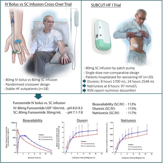 cardioteca's tweet photo. 🆕📌 Parche abdominal de furosemida subcutánea en pacientes con insuficiencia cardiaca

🔓 https://t.co/sjrZnDfcLq https://t.co/o4X9MJ6xu5