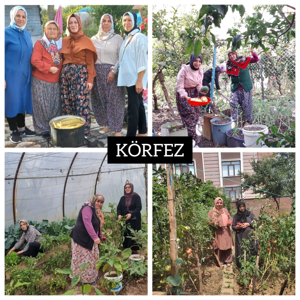 akkadinkocaeli's tweet photo. İl Kadın Kolları Başkanımız @yyaseminozdemir öncülüğünde ,12 ilçemizde eş zamanlı olarak dokunduğu toprağı güzelleştiren,tohumu ürüne dönüştüren, varlığı ve emeği ile hayata değer katan kadınlarımızı ziyaret ederek "Dünya Kadın Çiftçiler Günü"nü kutladık.🇹🇷 #AkkadınKocaeliSahada https://t.co/W1yU8kWxzo