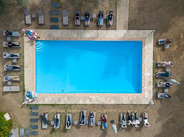 franckcourchamp's tweet photo. #InvaPact workshop is over. An amazing group from all around the swimmingp… world! https://t.co/1F9obRNUUj