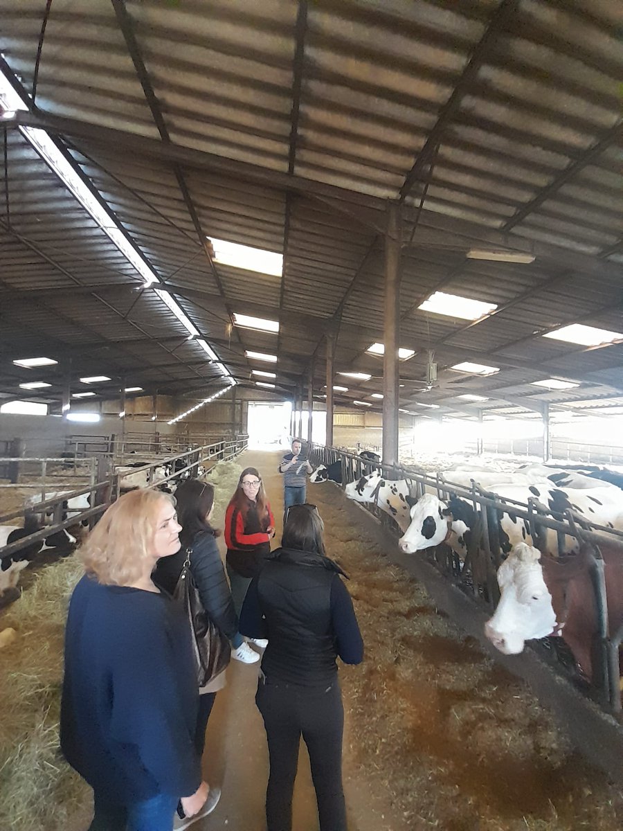 ViandeDuTerroirGrandEst (@viandeterroirge) on Twitter photo Depuis 2021, <a href="/InterbevGdEst/">Interbev Grand Est</a> <a href="/regiongrandest/">Région Grand Est</a> les agences l'eau et les professionnels #viandeduterroor se sont lancés dans une expérimentation #hve
Matérialiser les pratiques du modèle de polyculture élevage GE, préserver la ressource en eau et répondre à la loi #EGAlim #rhd Depuis 2021, <a href="/InterbevGdEst/">Interbev Grand Est</a> <a href="/regiongrandest/">Région Grand Est</a> les agences l'eau et les professionnels #viandeduterroor se sont lancés dans une expérimentation #hve
Matérialiser les pratiques du modèle de polyculture élevage GE, préserver la ressource en eau et répondre à la loi #EGAlim #rhd