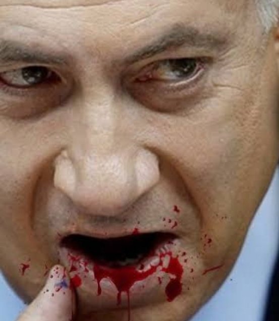 Kanınızda boğulun...
#zionistterror
#Kudüsİslamındır
#FreeGaza 
#IsraelTerrorists