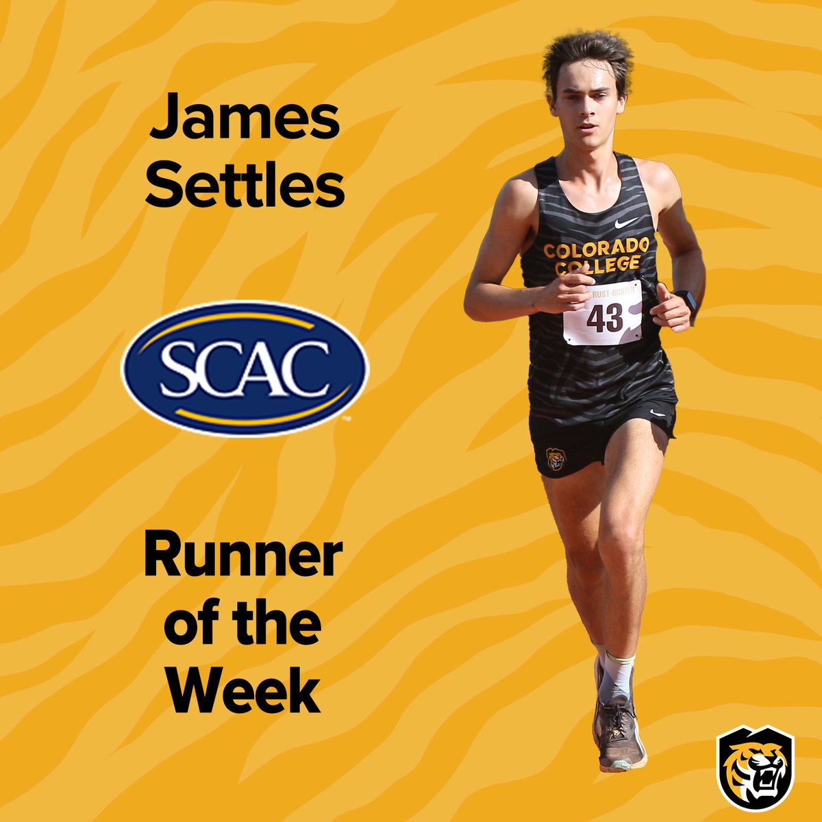 CC Tiger Athletics tweet media