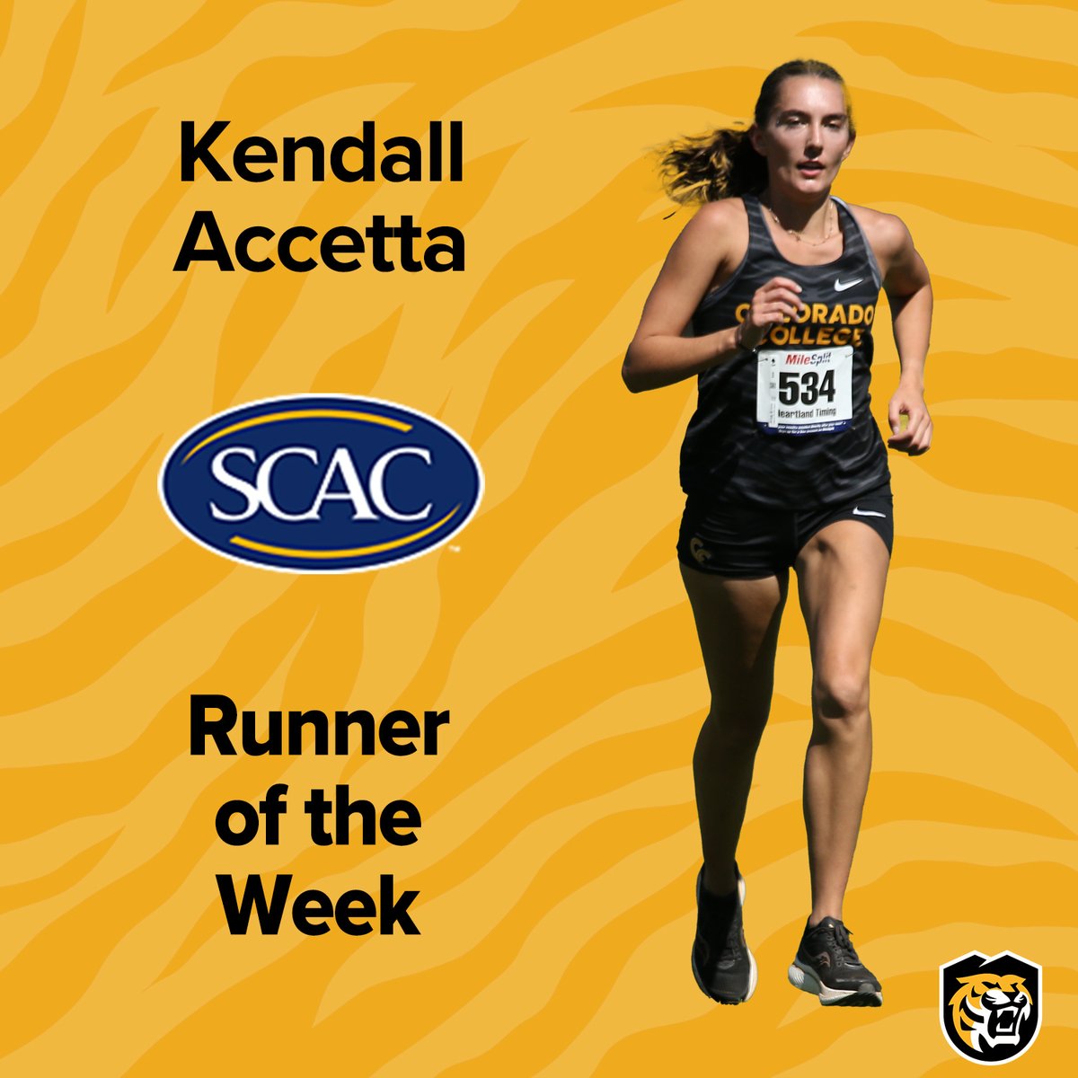 CC Tiger Athletics tweet media