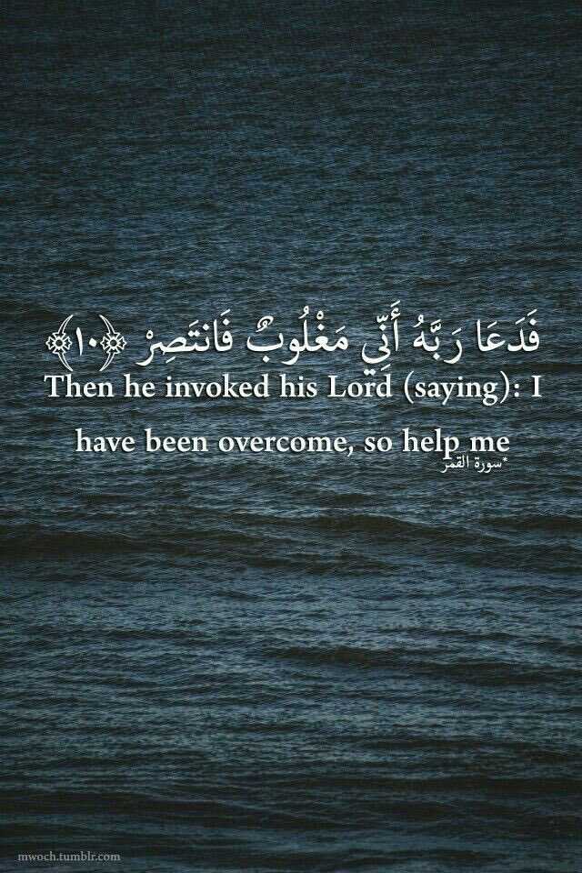 د. باسم | طبيب أطفال (@drbassemkurdi) on Twitter photo 