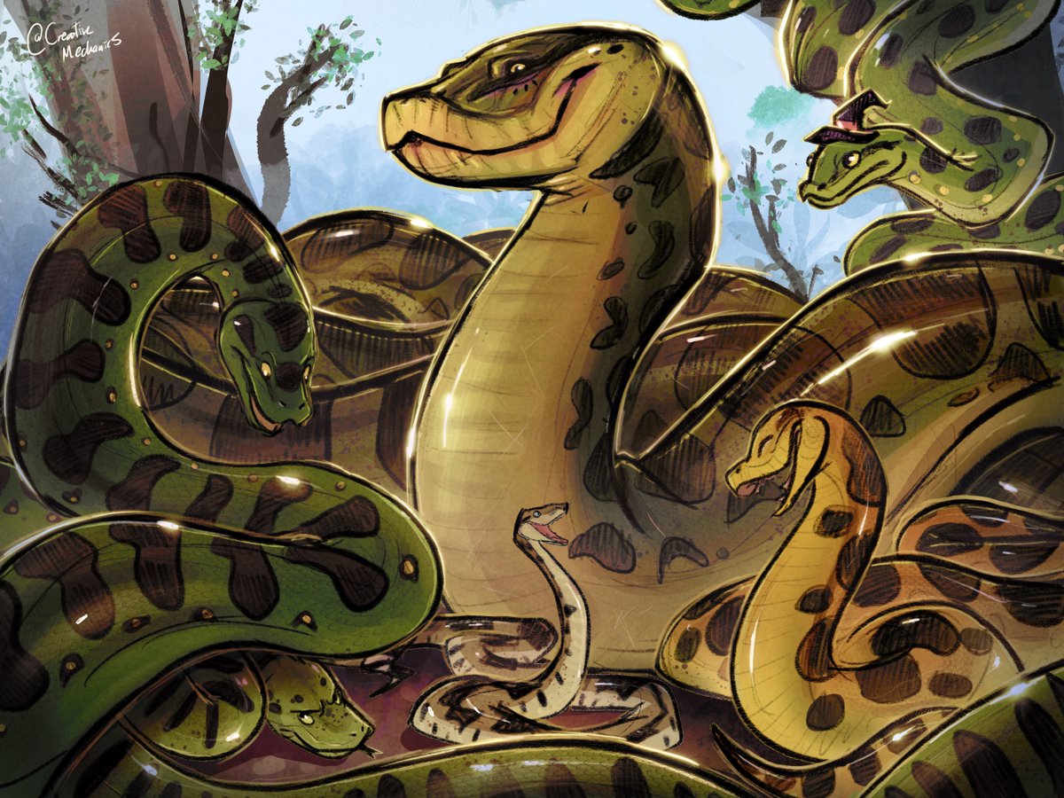 Hissmanity family portrait!
.
Still looking for that 20 ft Anaconda?
Just a family of good noodles trying not to get yoinked by @FishinGarrett 
.
#hissmanity #anaconda #snake #herping #familyportrait #petportrait #reptilelover #snakesofinstagram #characterdesign #digitalart #🐍