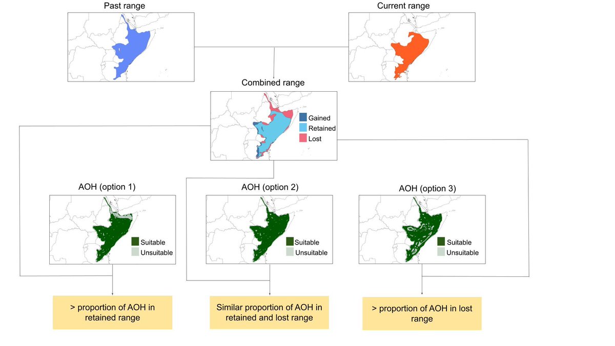 GlobalChangeBio's tweet photo. || NEW RESEARCH ||
Drivers of habitat availability for terrestrial mammals: Unravelling the role of livestock, land conversion and intrinsic traits in the past 50 years 

📃 https://t.co/AOC1bdJple https://t.co/a6IRlnou32