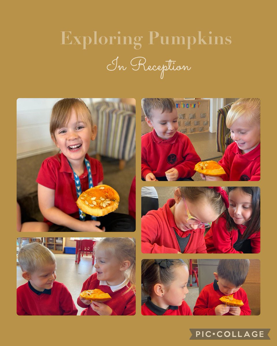 pencaerauprima1's tweet image. Our Early Year’s students have been exploring and learning about pumpkins this week. They were  excited to discover what a pumpkin looks like inside and how it smells. Stay tuned for some spooktacular creations coming soon  🎃 #earlyyears #makinglearningmagical #Halloween2023