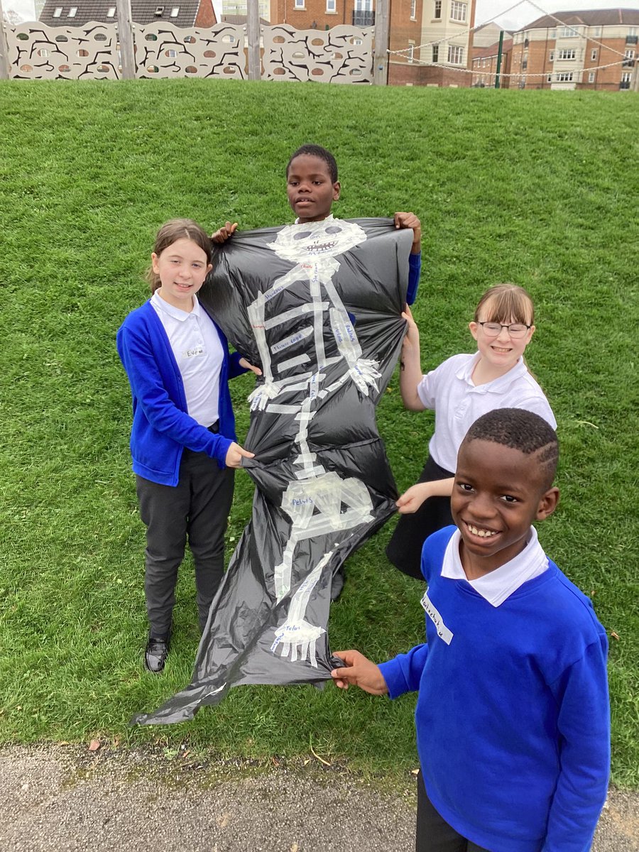 Sycamore Class worked excellently creating and labelling a human skeleton. <a href="/bwcet/">Bishop Wilkinson Catholic Education Trust</a> #practicalscience #teamwork